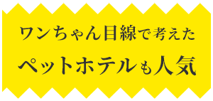 ワンちゃん目線で考えたペットホテルも人気