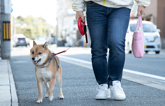 安全に遊べる空間づくり